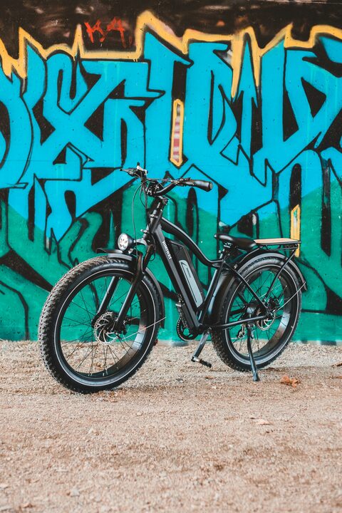 Mountain rental bike